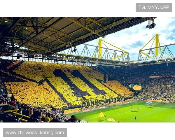 西雅图海湾人球迷组织主场巨型TIFO展示计划